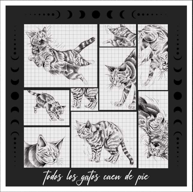 Metanoia - Todos los gatos caen de pie